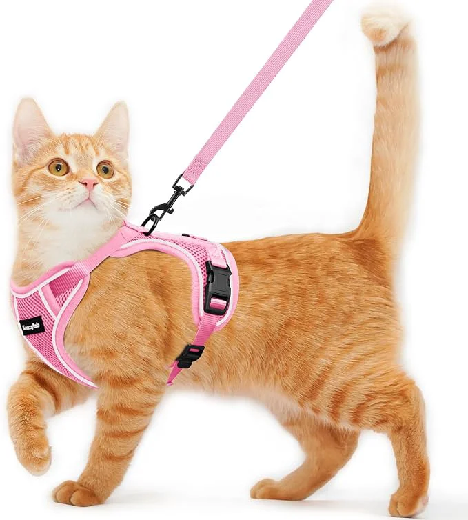 Effective Cat Harness and Leash for Walking Escape Proof Soft Adjustable Cat Leash Stylish
