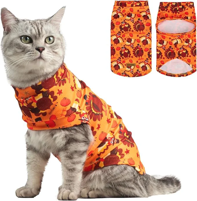 Smooth EXPAWLORER Thanksgiving Cat Sweater Excellent