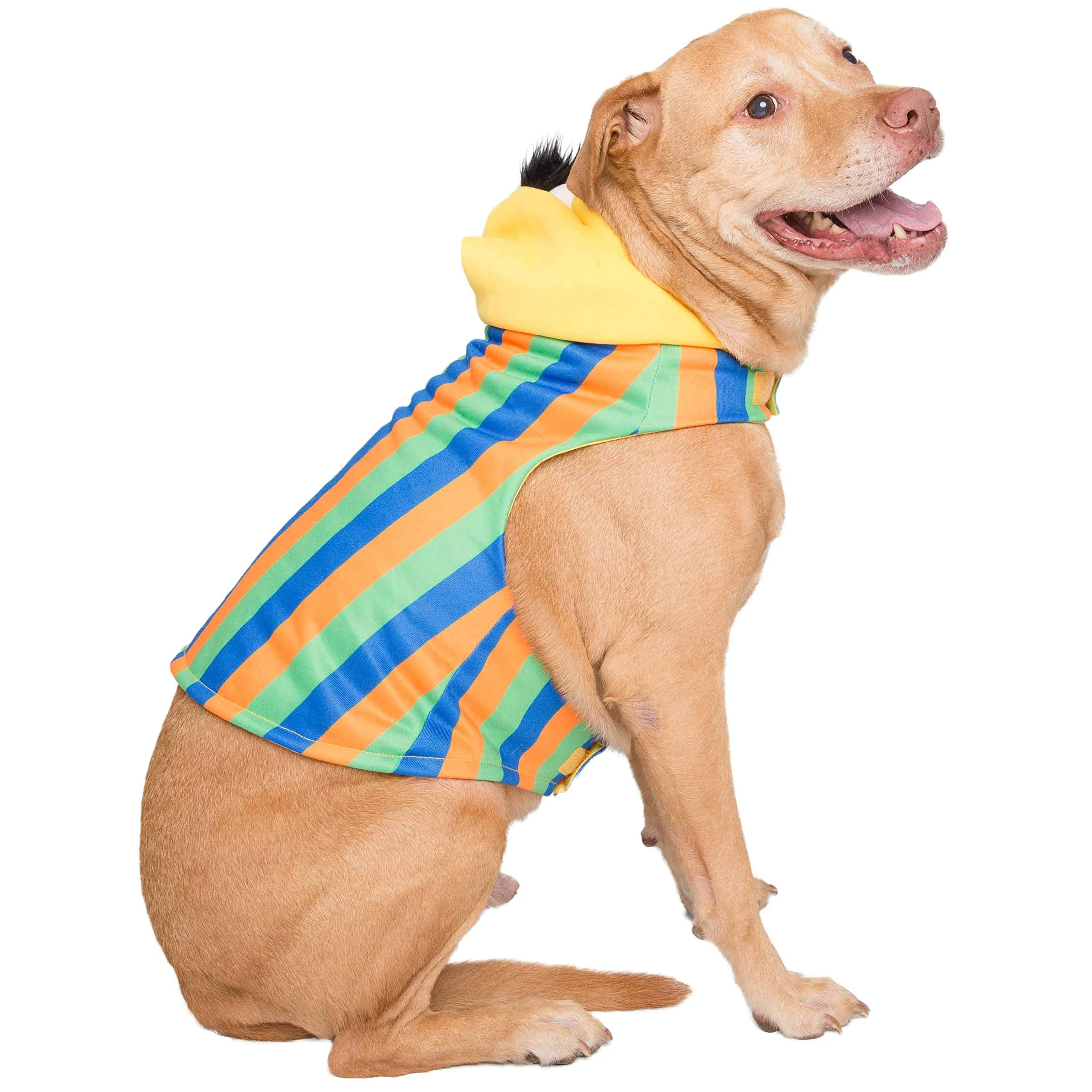 Breathable Pet Krewe Large Bert Costume – Sesame Street Bert Dog Costume S-XL Halloween Holidays Convenient