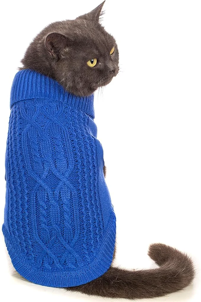 Minimalist Stretchy Cat Sweater First-Class