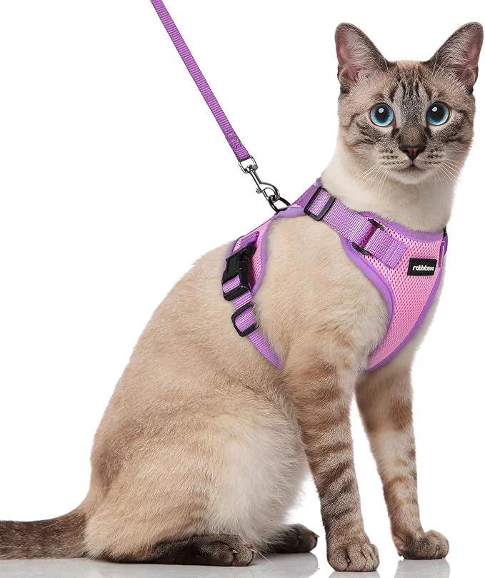 Enhanced rabbitgoo Cat Harness and Leash Set Escape Proof Soft Adjustable Vest Harnesses Certified