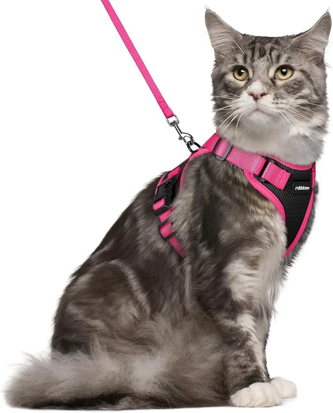Eco-Friendly rabbitgoo Cat Harness and Leash Set Escape Proof Soft Adjustable Vest Harnesses User-Friendly
