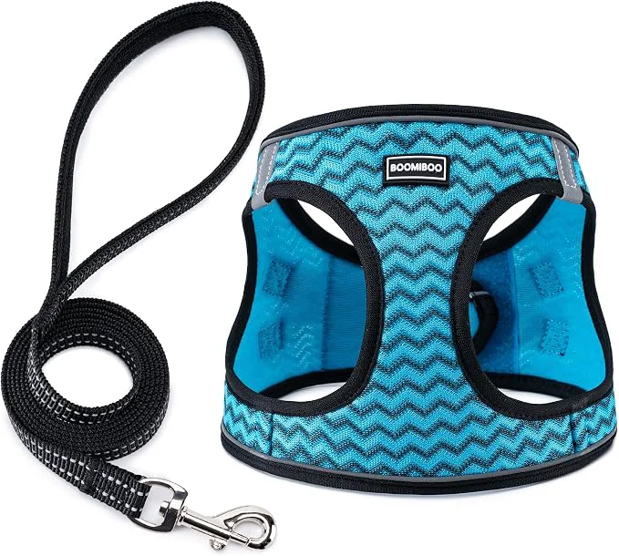 Certified BOOMIBOO Dog Harness with Leash Set No Pull Adjustable Reflective Step-in Traditional