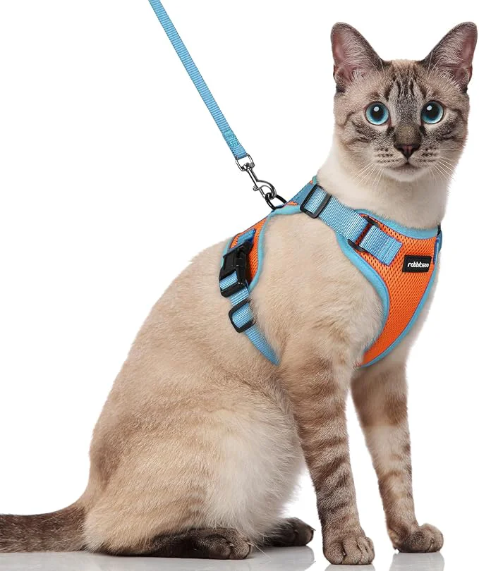 Stylish rabbitgoo Cat Harness and Leash Set Escape Proof Soft Adjustable Vest Harnesses Exclusive