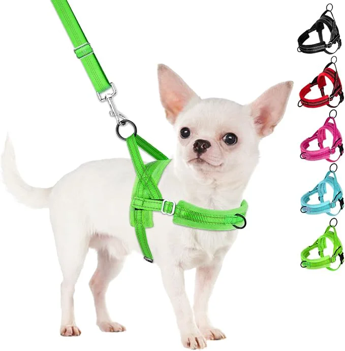 Traditional SlowTon No Pull Small Dog Harness and Leash Set Puppy Soft Vest Harness Neck Expertly Made