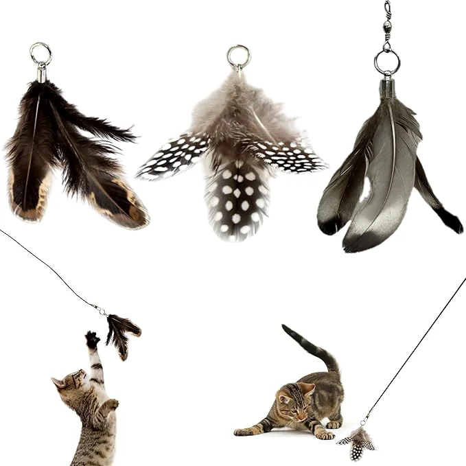 Enhanced Feather Toys s High-End