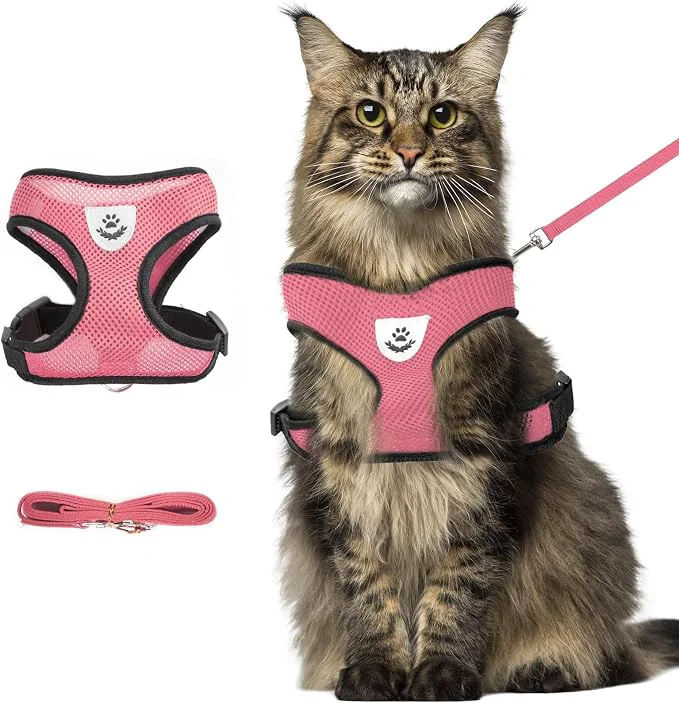 Enhanced shudyear Summer cat Chest Harness and Leash Anti-Escape Adjustable Soft mesh Powerful