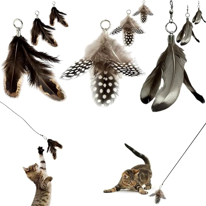 Detailed Feather Toys s Genuine