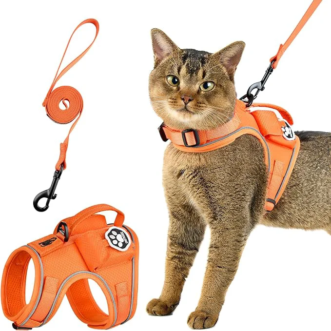Casual OneTigris Cat Harness and Leash Proven