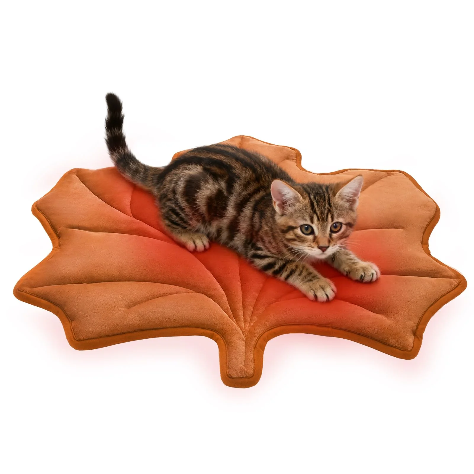 World-Class KOOLTAIL Self Warming Cat Bed Mat for Indoor Cats Dogs – Reversible Heated Pet Pad 20×30 in Maple Leaf High-Performance