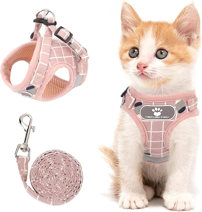 Minimalist Cat Dog Vest Harness Sustainable