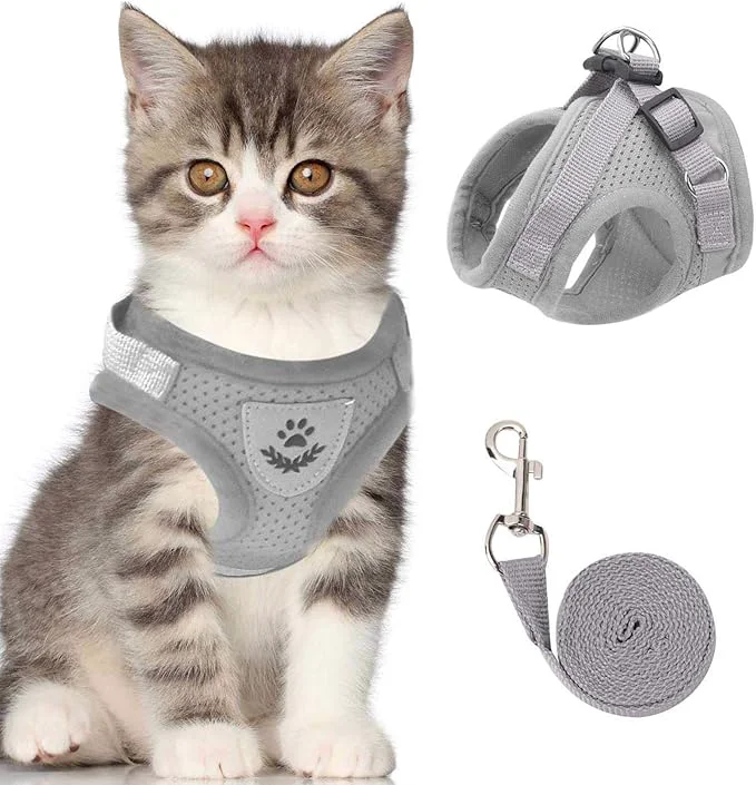 Original Design Cat Dog Vest Harness Contemporary