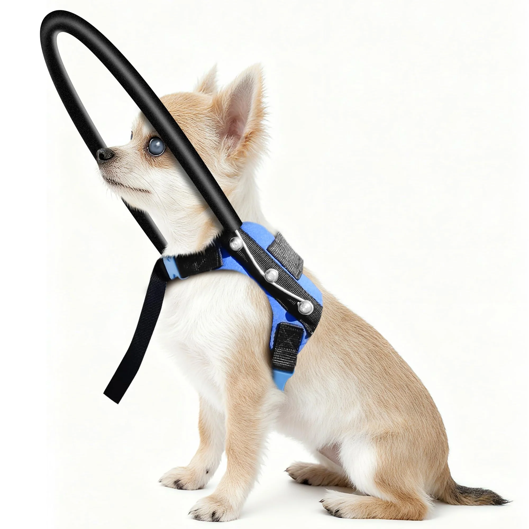Recyclable LetPetRun Blind Dog Halo Harness – Protective Halo Collar Guiding Device for Blind Dogs XXXS Adjustable Safe Navigation Prestigious