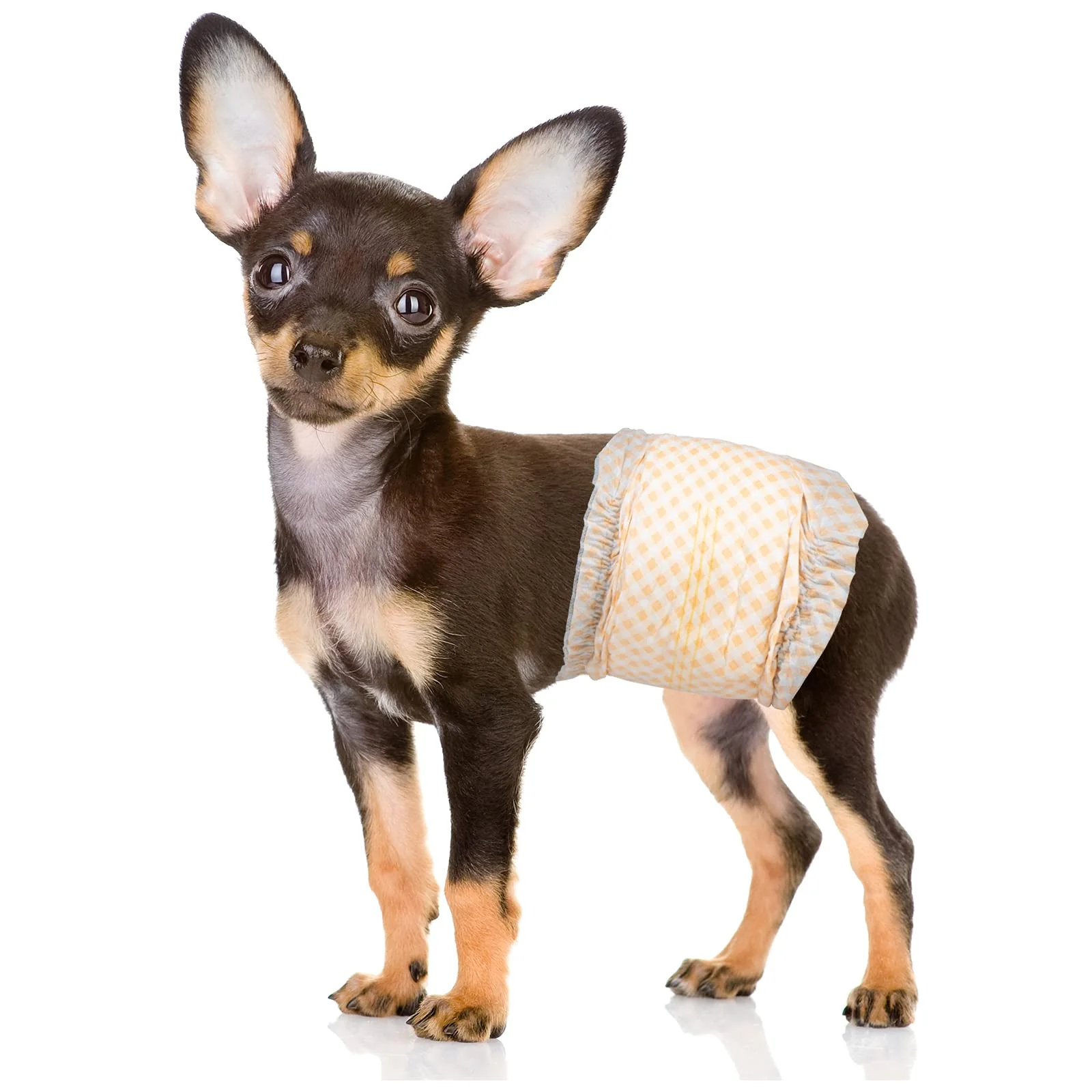 Natural Pet Soft Disposable Male Dog Wraps – XSmall 48 Count with Wetness Indicator High-Quality