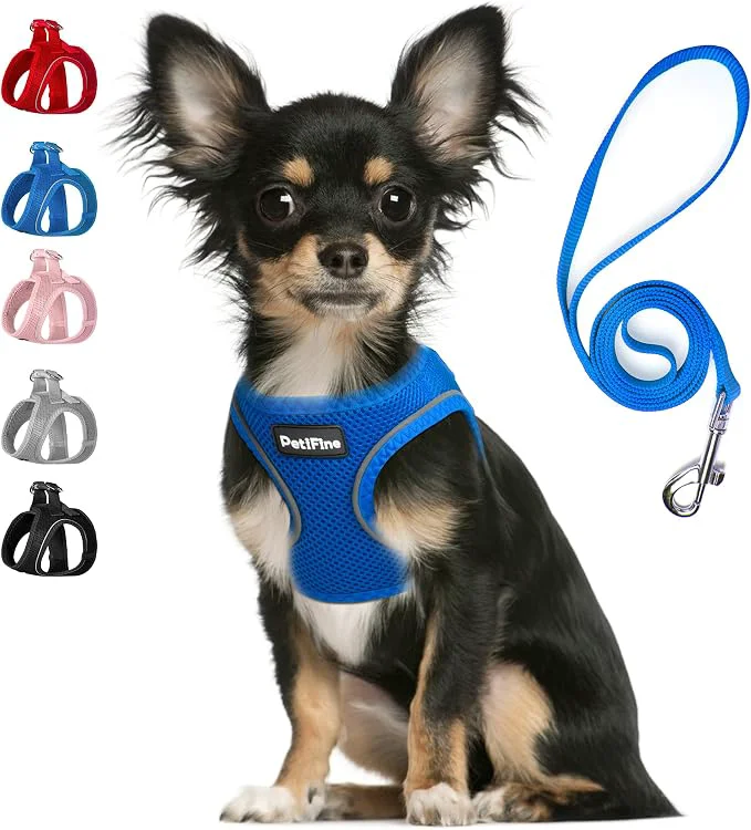 Certified PetiFine Step in Small Dog Harness and Leash Set Breathable All Weather Air High-End