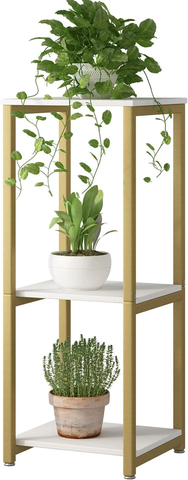Detailed Plant Stand Indoor Corner Tall 3 Tier Metal Modern Flower Storage Plant Shelf Holder for Living Room Balcony Garden Gold 3 Tier-Gold About ThisOverview Dependable