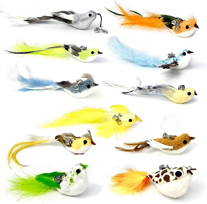 Authentic 11 PCS Multi-Functional Cat Toy Heads – istic Handmade Bird Trusted