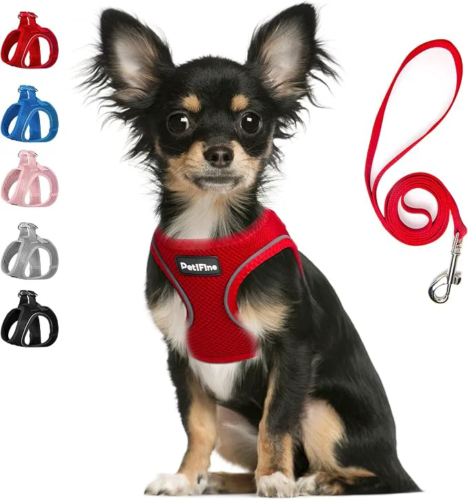 World-Class PetiFine Step in Small Dog Harness and Leash Set Breathable All Weather Air Efficient