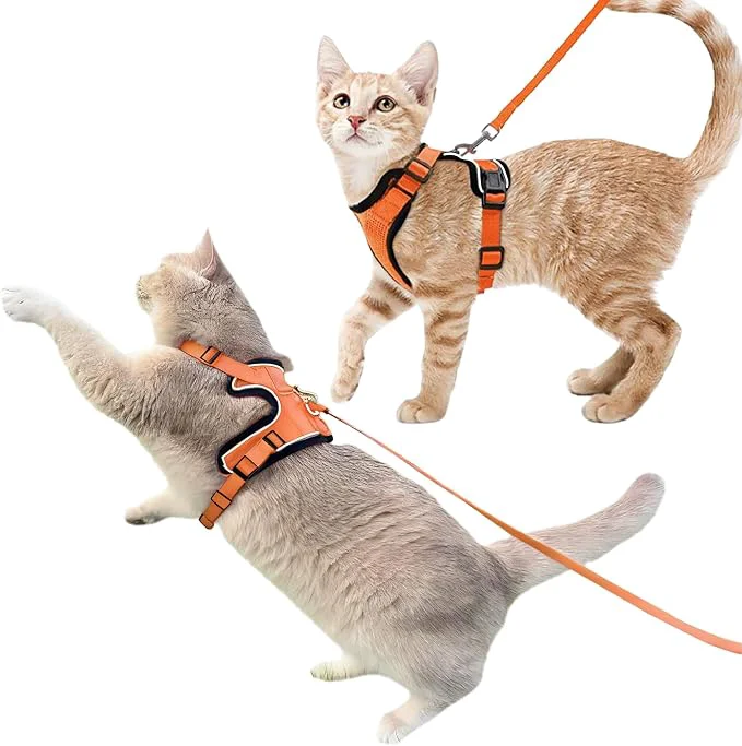 Casual Luxelle 2 Pack Escape-Proof Cat Harness and Leash Set Durable