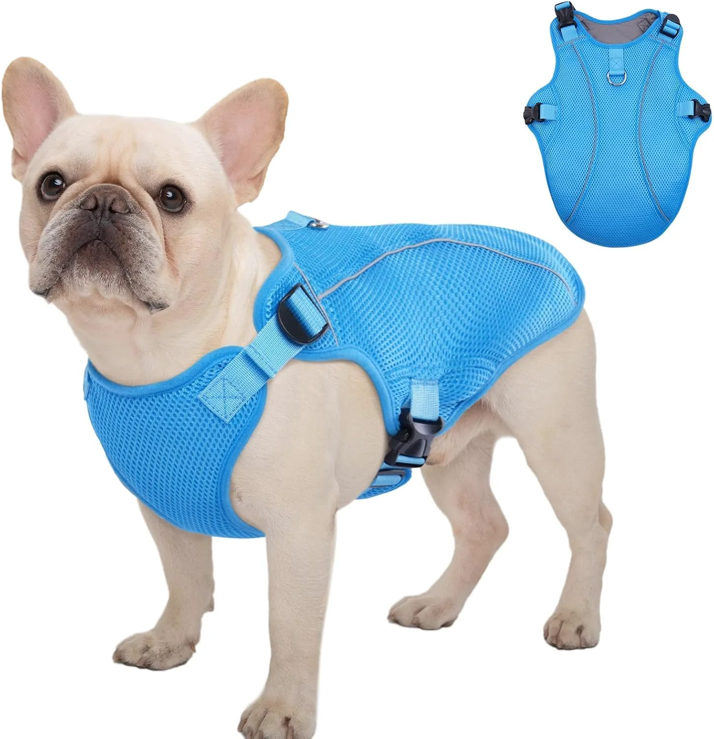 Consistent Kuoser Dog Cooling Vest Harness Small Puppy Cooler Jacket with Adjustable Buckle for Outdoor Beach Hiking Training Blue S High-End