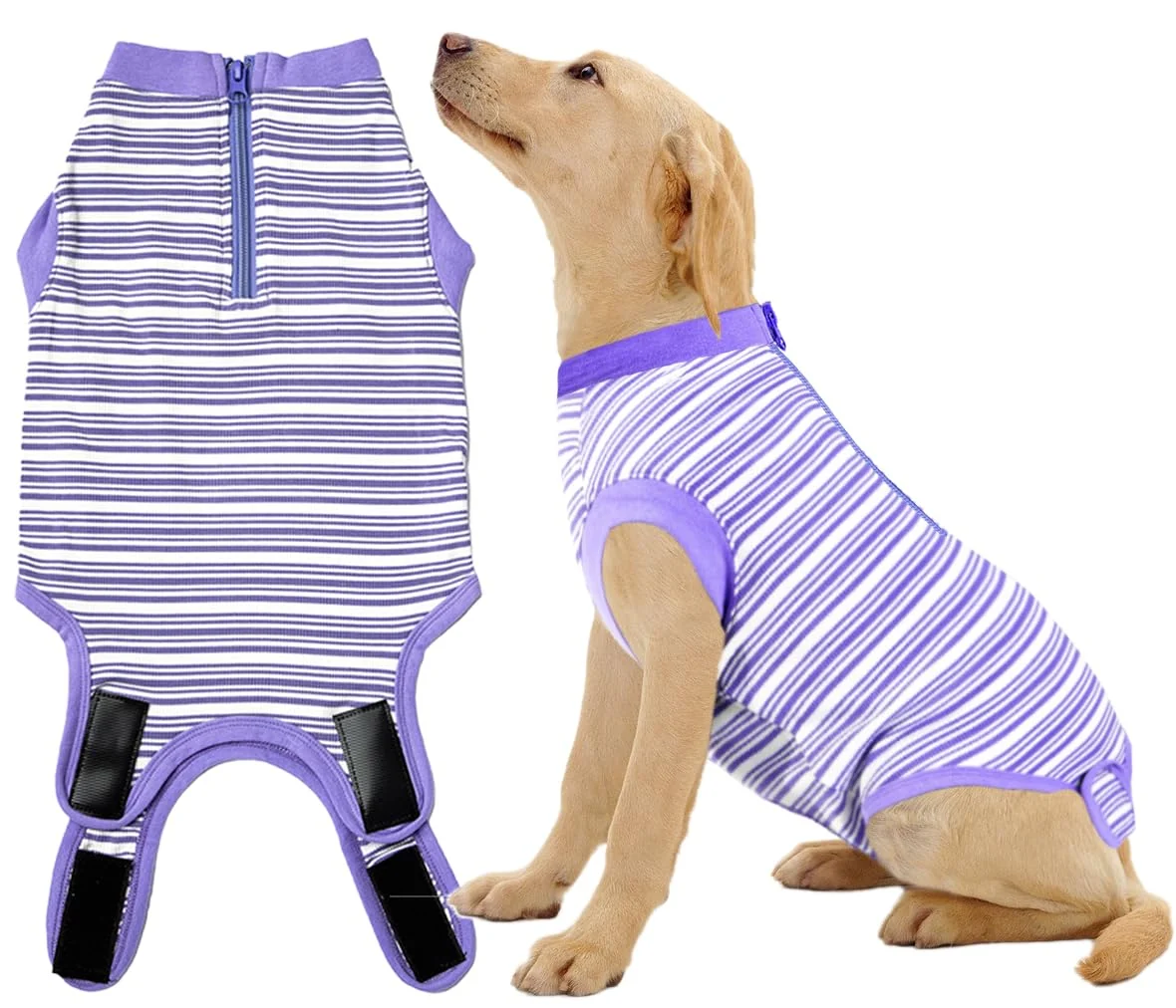 Versatile Wabdhaly Recovery Suit for Dogs – Zipper Cone for Spay Recovery Exceptional
