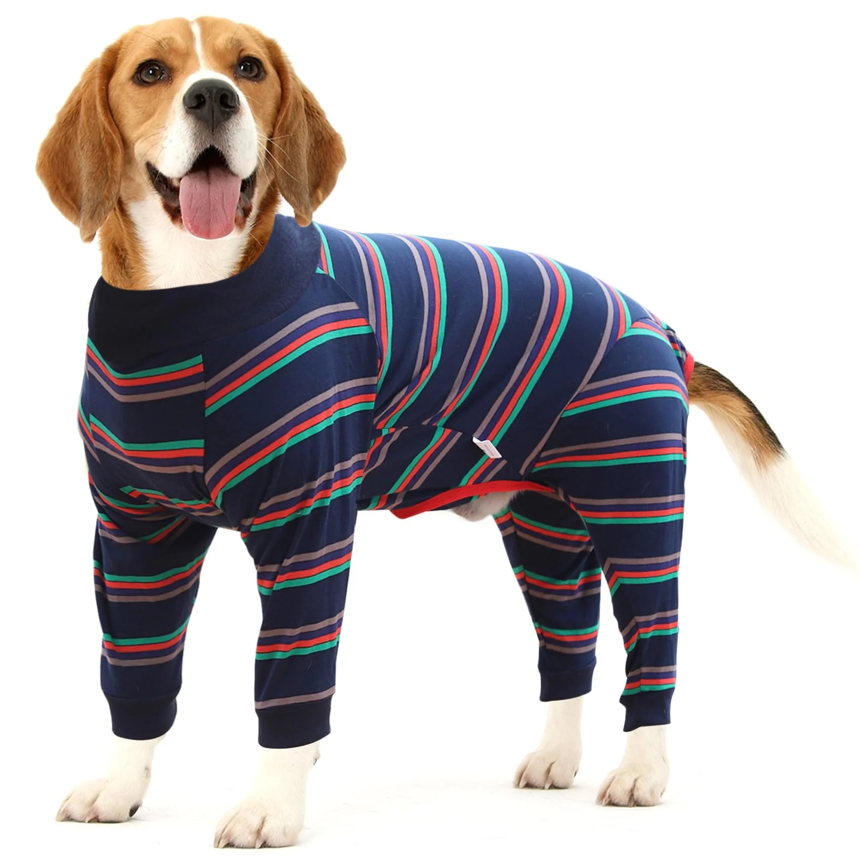 Crafted Dotoner Dog Recovery Suit Blue Large – Post-Surgery Wound Protection E-Collar Trendy