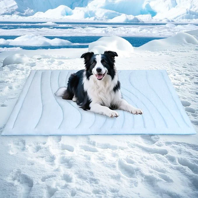 Dependable BECEMURU Dog Cooling Mat in Summer Plush Warm Blanket in Winter 2-Sided Stylish