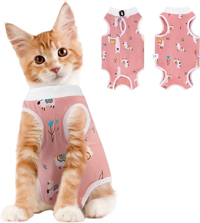 Minimalist Coppthinktu Cat Recovery Suit Female Breathable Cat Onesie After Surgery Female Elite