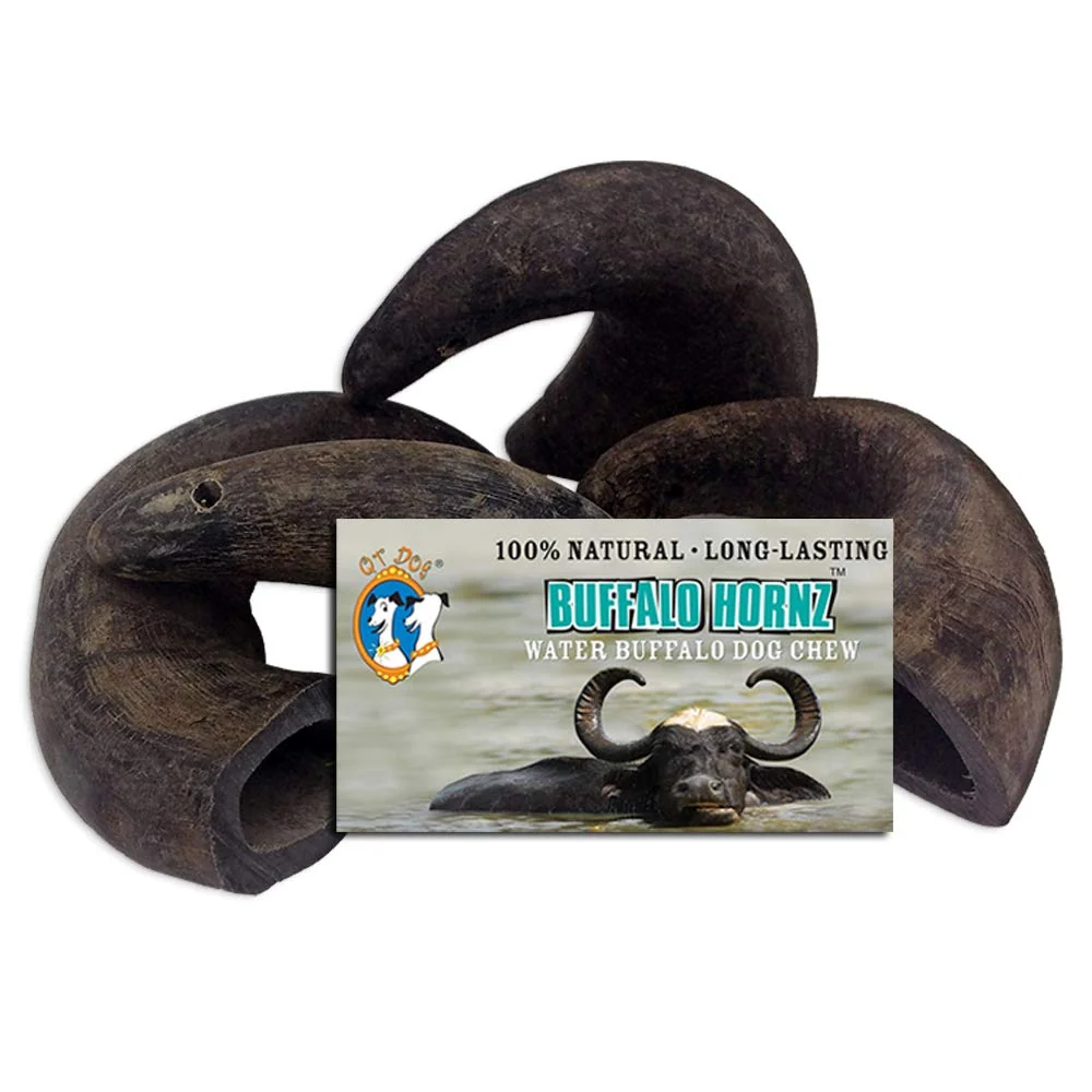 Unique QT Dog Buffalo Horn Chew – Long-Lasting Single-Ingredient Treat for Small Dogs Comfortable