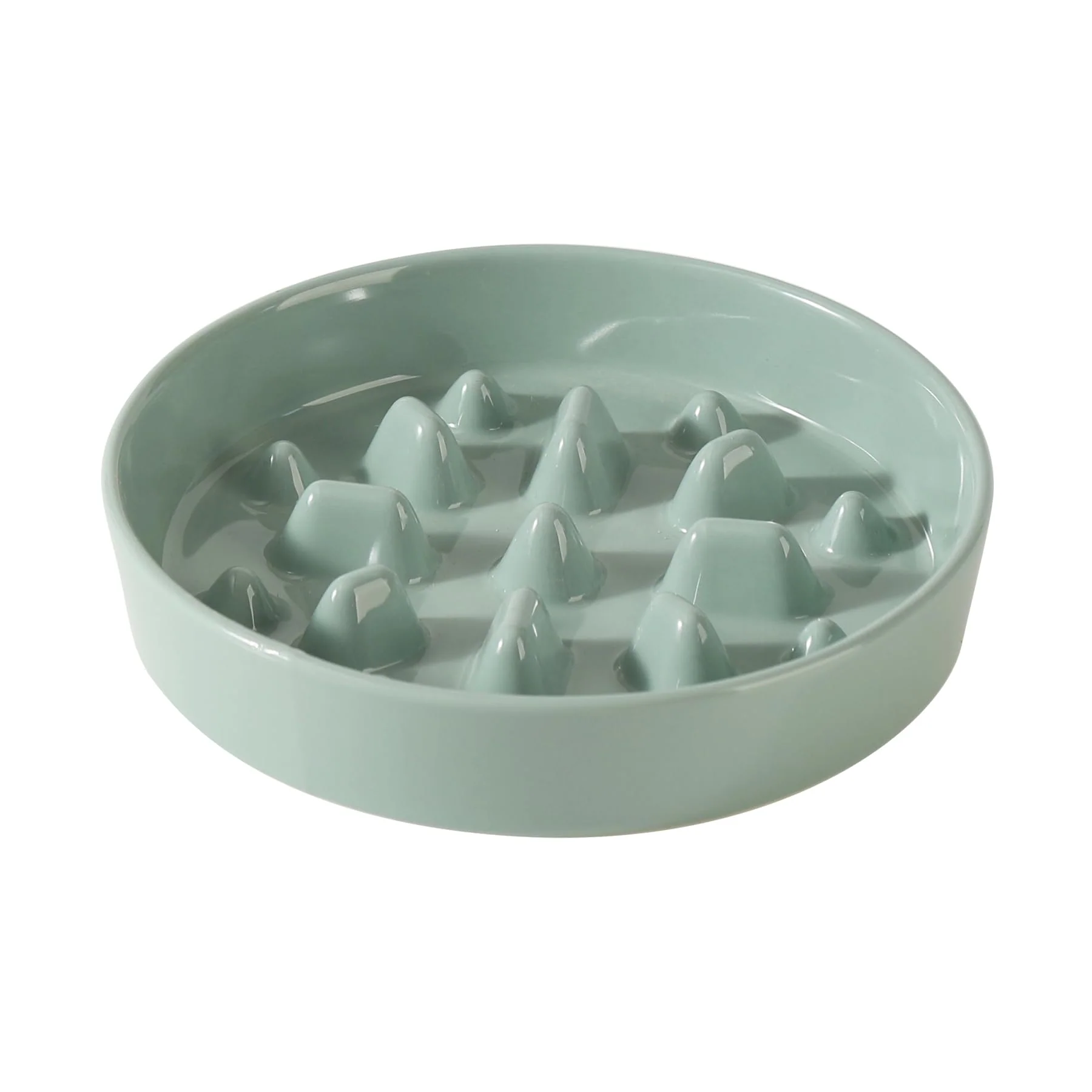 Original Havniva Ceramic Slow Feeder Dog Bowl 1.6 Cup 8.2 Inch Light Green Fast