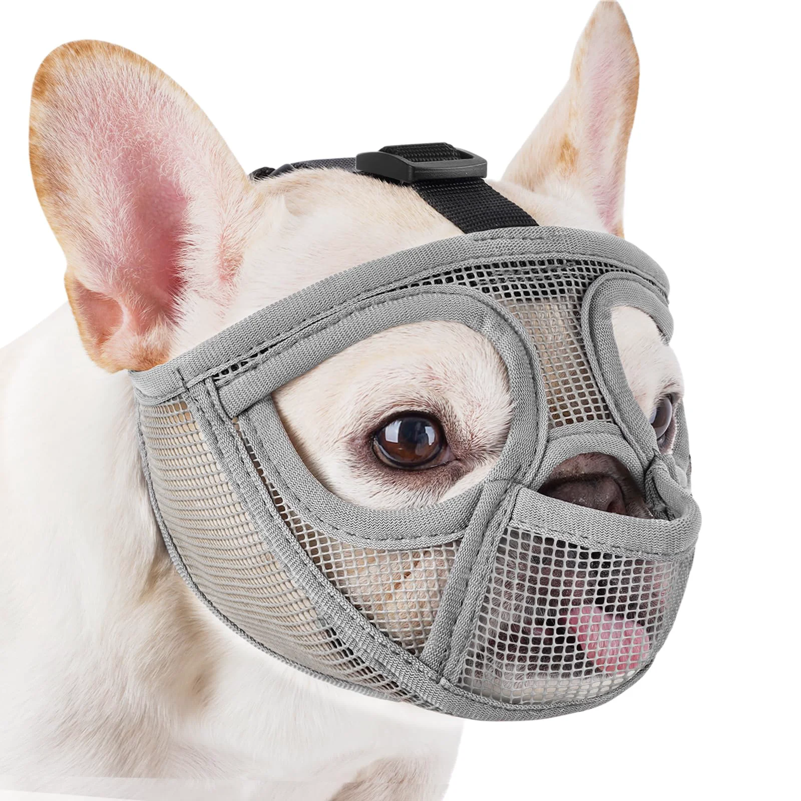 Stylish Mayerzon Short Snout Muzzle with Full Pant Design – Breathable Mesh for French Bulldog and Brachycephalic Breeds Efficient