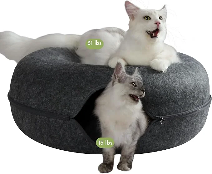 Convenient Cattasaurus Peekaboo Cat Cave Donut Professional