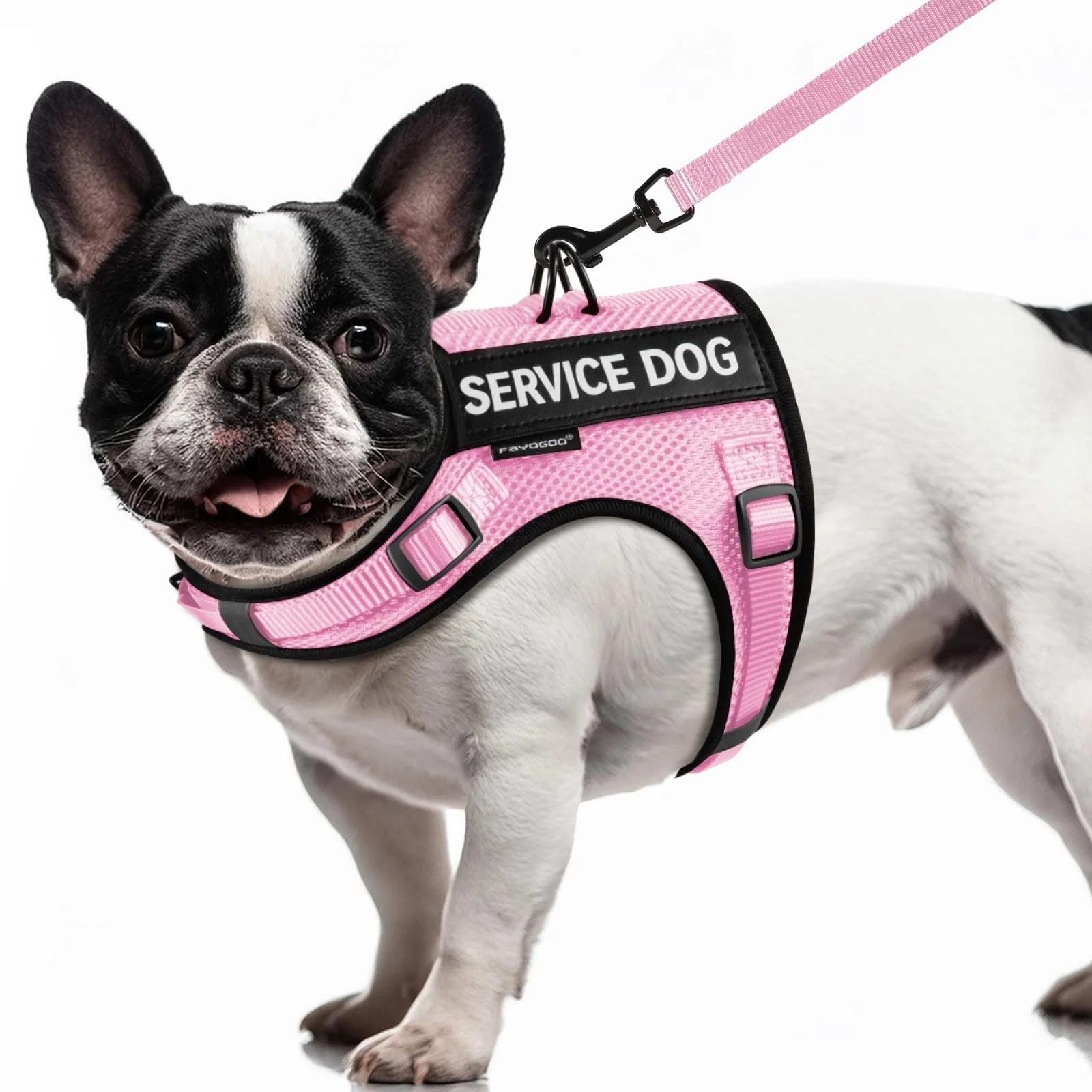 Stylish FAYOGOO Service Dog Vest for Small Dogs — Lightweight Mesh Harness Leash Set with Patches Breathable