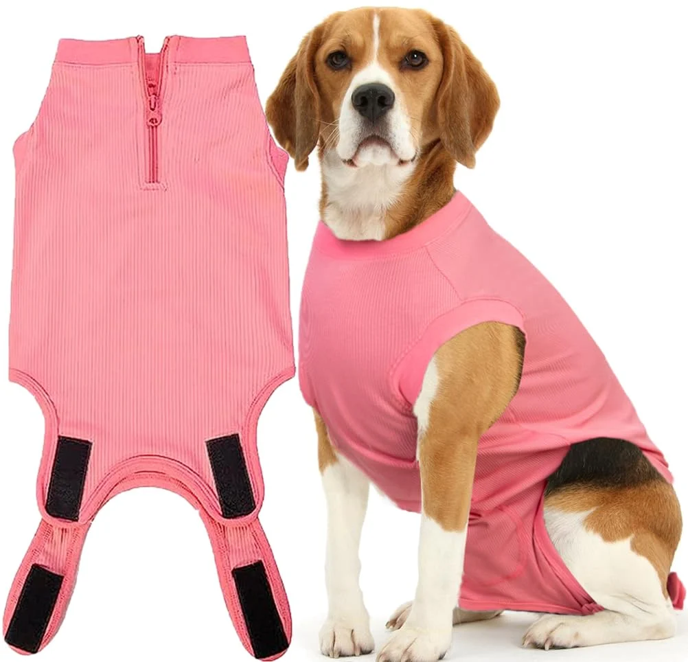 Carefully Designed Wabdhaly Recovery Suit for Dogs — Soft Cone for Post-Spay Healing Sustainable