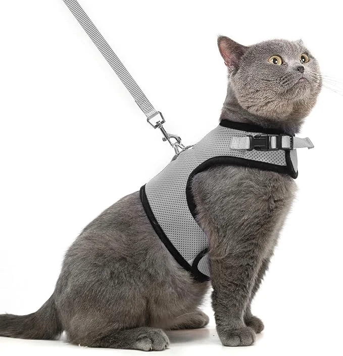 Dependable PUPTECK Soft Mesh Cat Vest Harness and Leash Set Puppy Padded Pet Harnesses Consistent