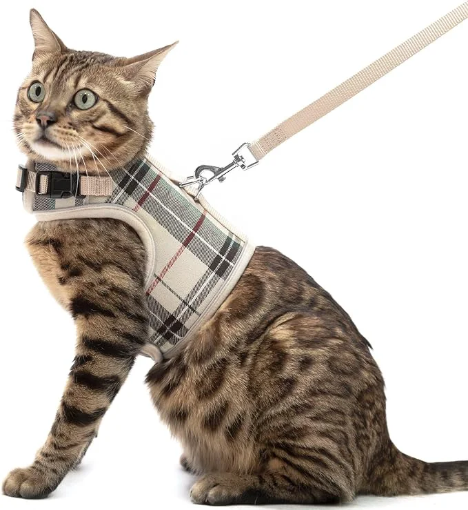 Smart PUPTECK Soft Mesh Cat Vest Harness and Leash Set Puppy Padded Pet Harnesses Artisan
