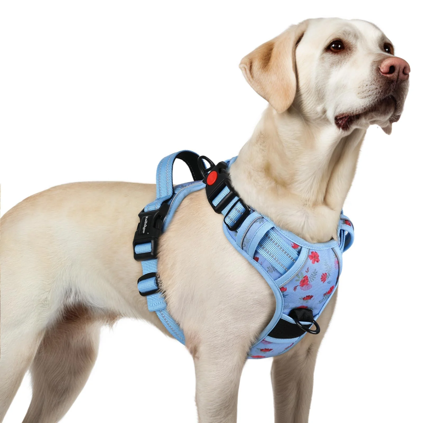 Comfortable Rabbitgoo Large Dog Harness - No-Pull 3 Buckles Reflective Floral Blue Size L Outstanding