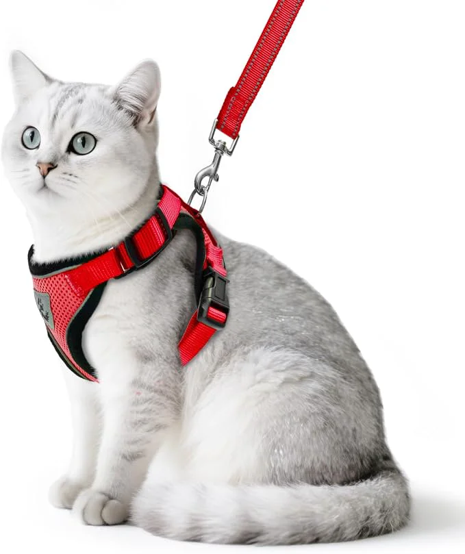 Effective PUPTECK Cat Harness and Leash Set Escape Proof Reflective Cat Walking Harness Original