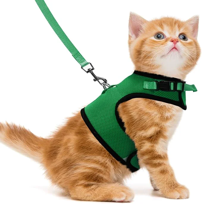 Classic PUPTECK Soft Mesh Cat Vest Harness and Leash Set Puppy Padded Pet Harnesses High-Performance