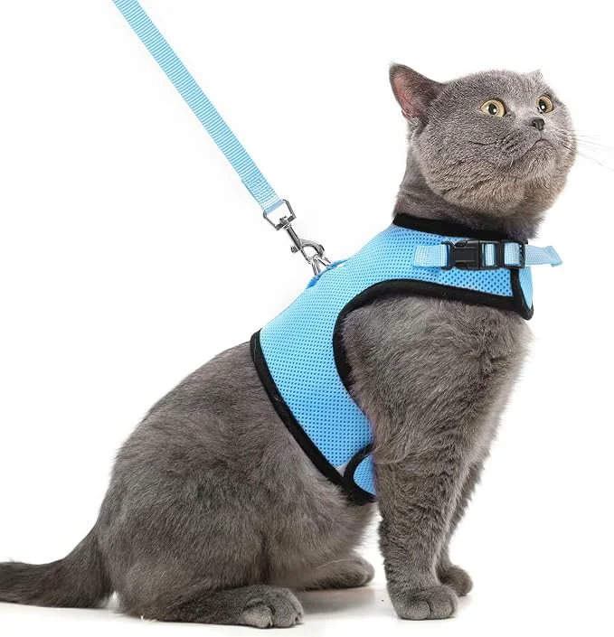 Minimalist PUPTECK Soft Mesh Cat Vest Harness and Leash Set Puppy Padded Pet Harnesses World-Class