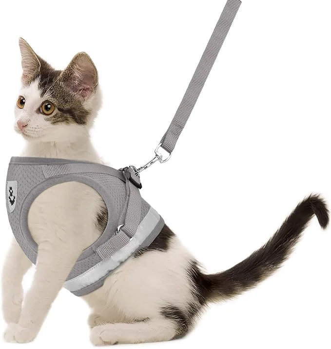 Versatile Cat Harnesses and Puppy Harness Prestigious