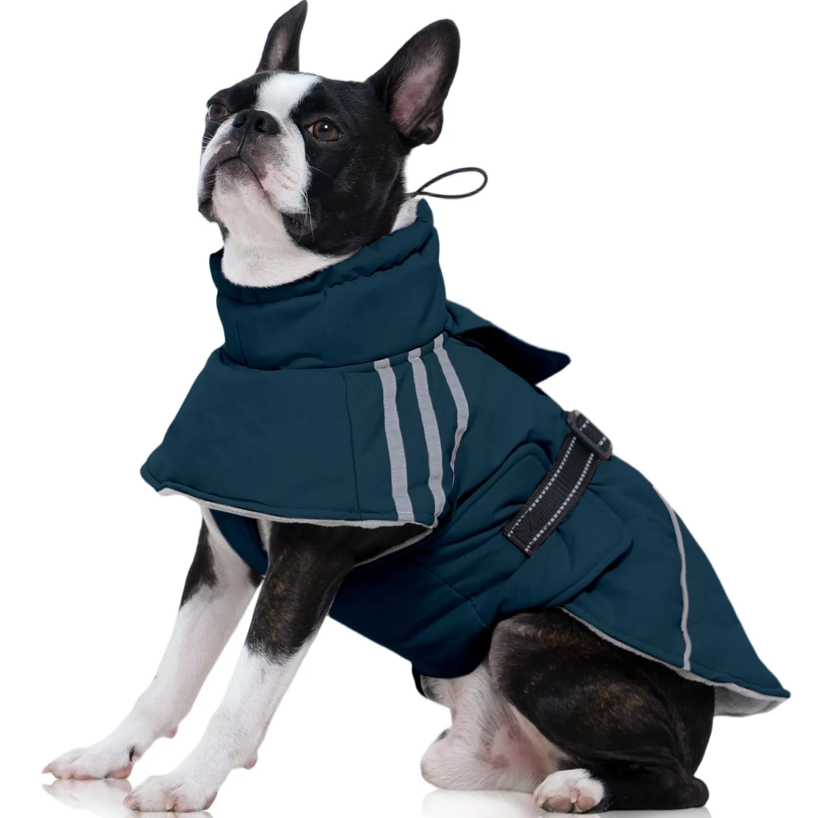 Unique FUAMEY Dog Winter Coat – Water-Resistant Reflective Warm Padding for Medium Dogs Blue Size M Comfortable