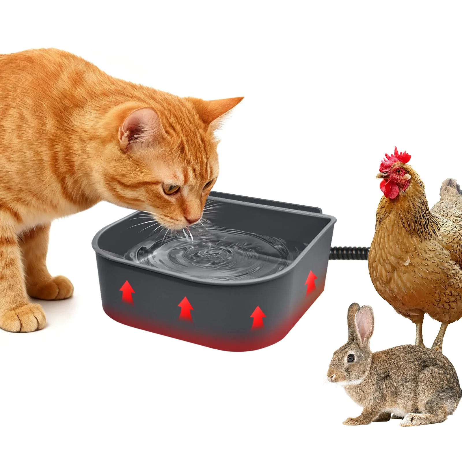 Professional Billionchains Dog Heated Water Bowl for Crate – No-ze Outdoor Dish 0.27 gal Advanced