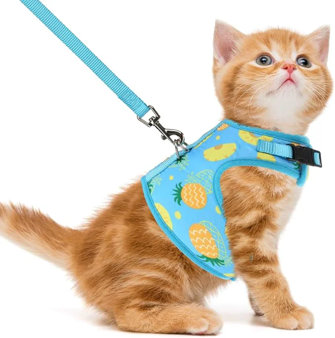 Practical PUPTECK Soft Mesh Cat Vest Harness and Leash Set Puppy Padded Pet Harnesses Prestigious