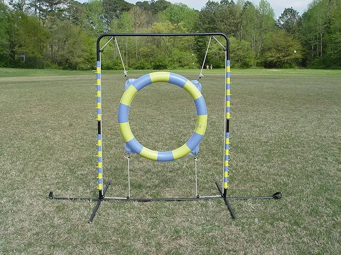 Eco-Friendly Agility Tire Jump High-Quality