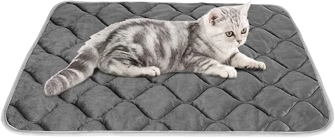 Contemporary ULIGOTA Self-Warming Cat Bed and Heating Mat Stylish