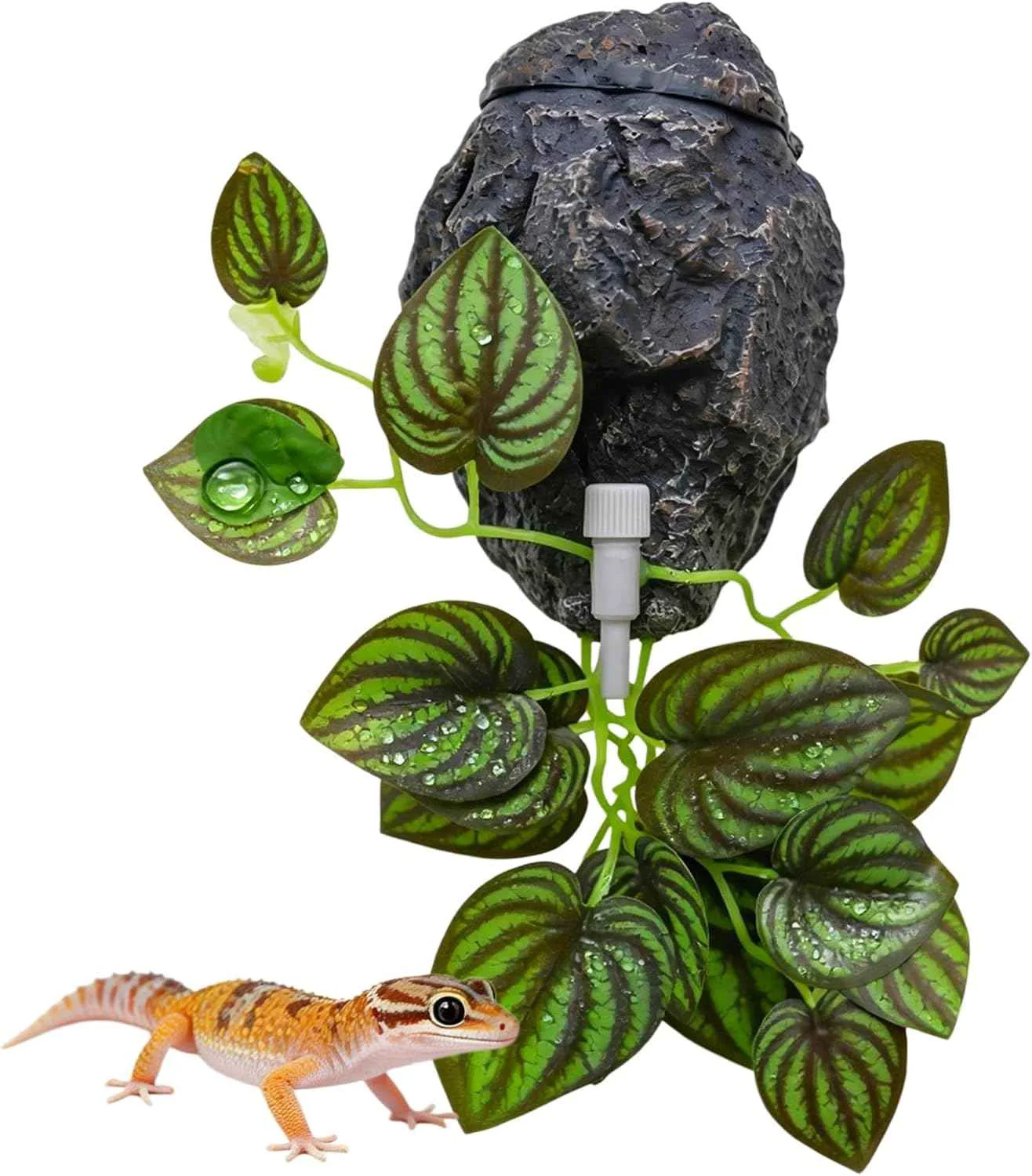 Official Wall-Mounted Reptile Water Dish with Adjustable Dripper Clean