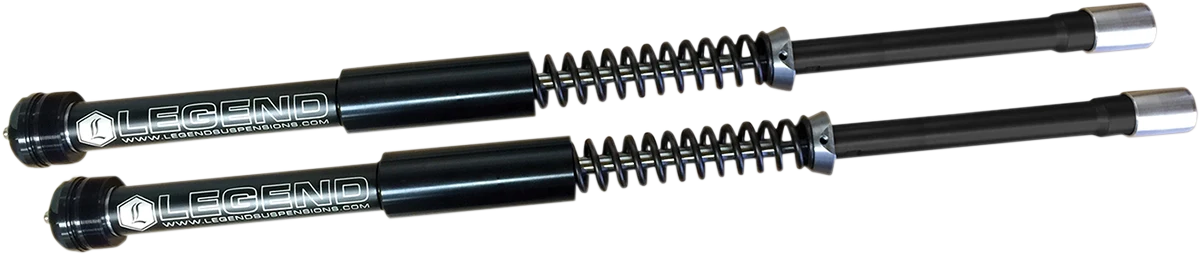 Next-Generation LEGEND SUSPENSION 1 Lowered AXEO Front Suspension - 41 mm - '97-'13 0414-0497 Elite