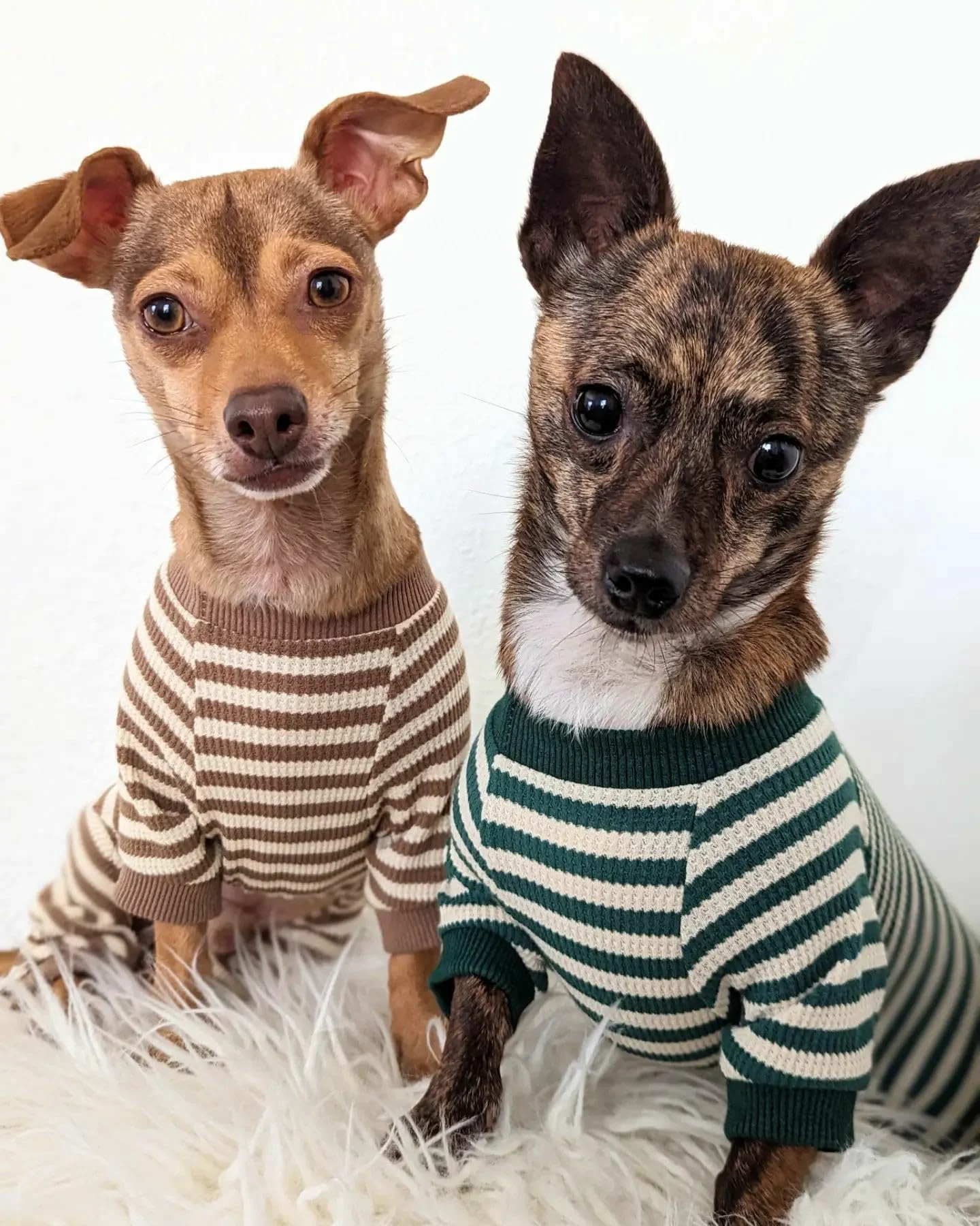 Consistent Fitwarm Green White Striped Waffle Dog Pajamas Small Dogs Cats Medium Artisan