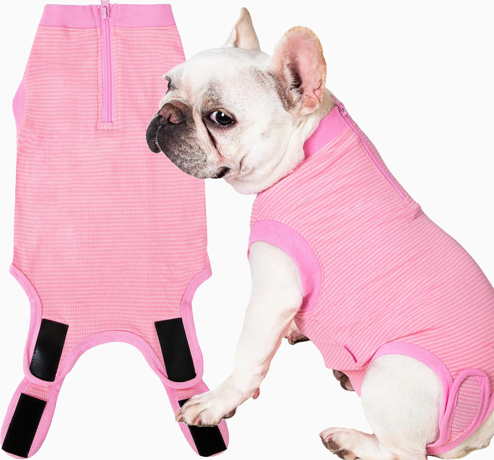 High-Grade Wabdhaly Recovery Suit for Dogs – Cone for Post-Spay Healing Eco-Friendly